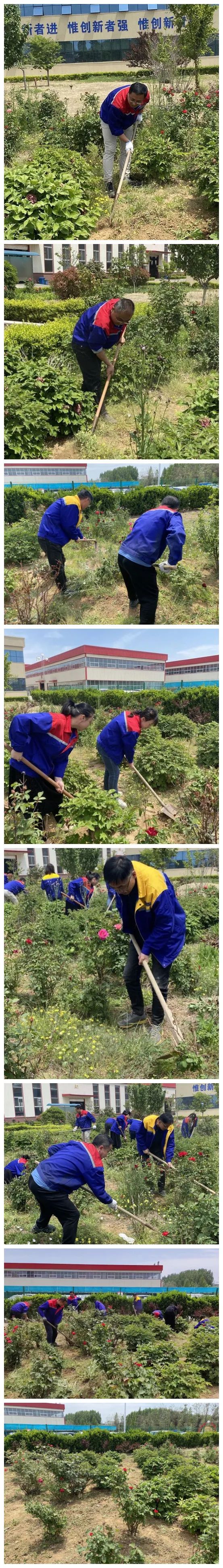 青島銳智黨支部開展“清除雜草 美化環(huán)境”主題黨日活動(dòng)