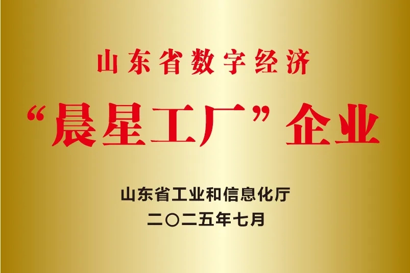 喜報！銳智智能成功入選2025年度山東省數字經濟“晨星工廠”建設試點名單